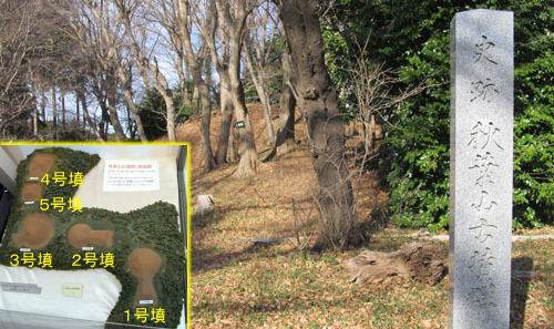 �H�t�R�Õ��Q�̕W���A�͌^�i�C�V���s�j