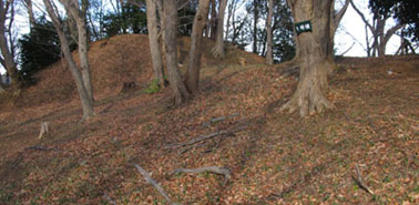 �H�t�R�P�����i�C�V���s�j