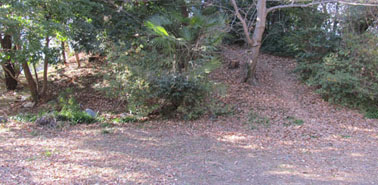 �H�t�R�R�����i�C�V���s�j