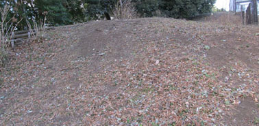 �H�t�R�S�����i�C�V���s�j