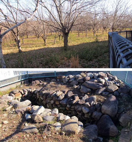 ���ˉ��Õ��Q�i�������s�j