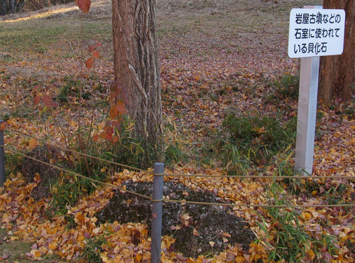 �L���΁i��t���h���j