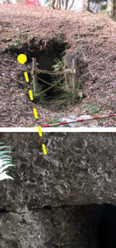 �㕟�c�≮�Õ��̐Ύ��J�����i���c�s�j