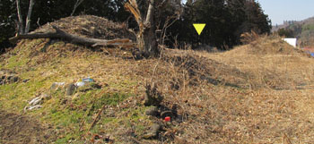 ���P�O�S�����ق��i�Q�n����ꑺ�j