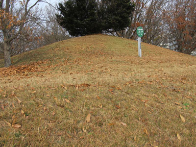 ���Ì��P�����i���c�s�j