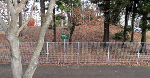 ���Ì��P�U�����i�ΒˁA���c�s�j