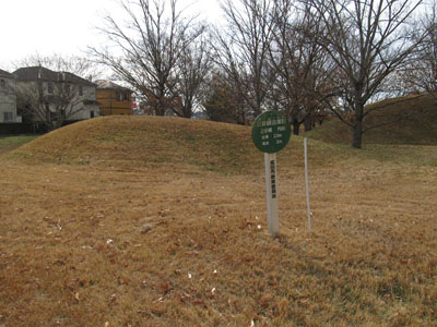 ���Ì��Q�����i���c�s�j