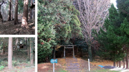 ���Ì��Q�P�����i�V���ˁA���c�s�j