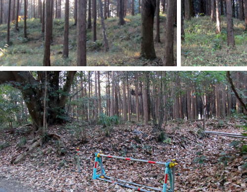 ��H���Õ��Q�i���c�s�j