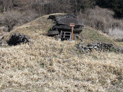 �ޗǂP�����i���c�s�j