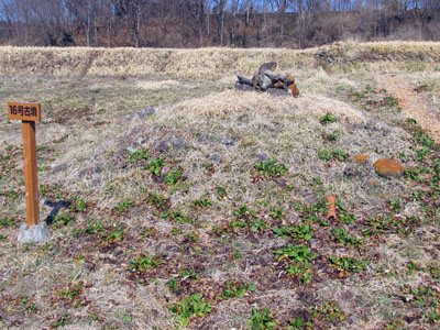 �ޗǂP�U�����i���c�s�j