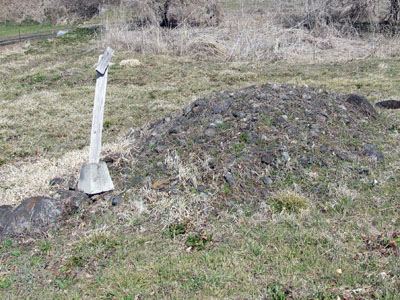 �ޗǂQ�R�����i�^�����A���c�s�j