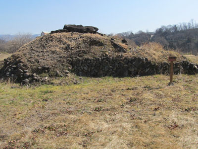 �ޗǂT�����i���c�s�j