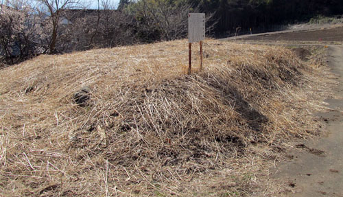 �H�˂X���Õ��i���c�s�j