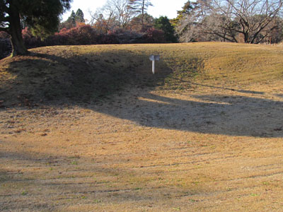 ���p���Õ��Q�i�Õ��i���o�[�s���A��t���h���j