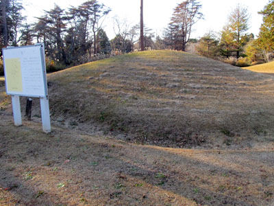 ���p���Õ��Q�i�Õ��i���o�[�s���A��t���h���j