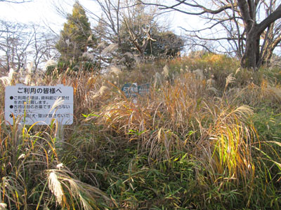 ���p���T�V�����i��t���h���j