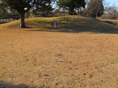 ���p���U�W�����i��t���h���j