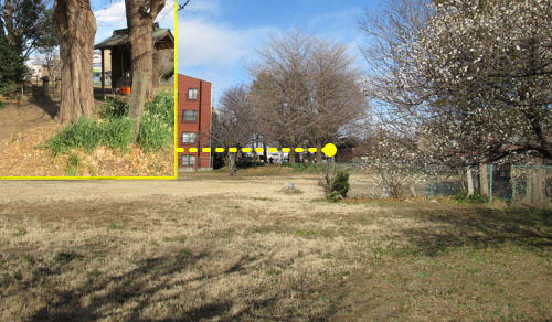 相模国分尼寺跡（海老名市）