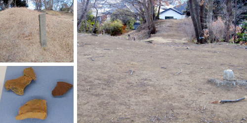 �Z�\�ˌÕ��i��l�c�V�����A�C�V���s�j