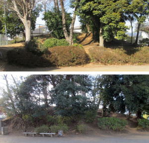 ��l�c�P�����i�n�̒ˁj�E�Q�����@�i�C�V���s�j