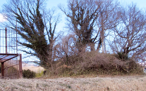 ���R�Õ� �i�ɐ����s�j