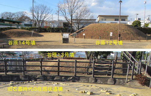 �J���P�Q�E�P�R�E�P�S�����i���͌��s�j