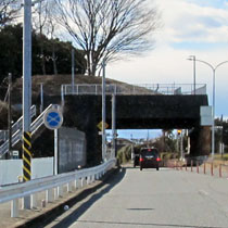 �g���l���̏�ɒn���R�Õ��i���؎s�j